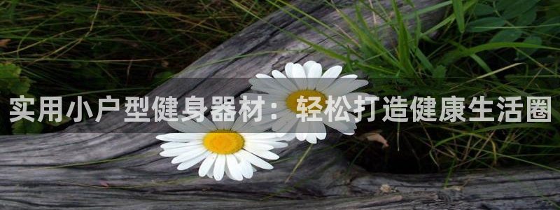 征途国际科技：实用小户型健身器材：轻松打造健康生活圈