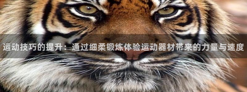 征途国际五金厂：运动技巧的提升：通过细柔锻炼体验运动