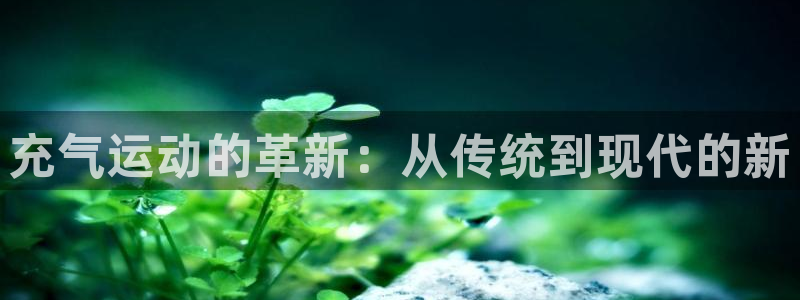 征途国际平台注册流程图：充气运动的革新：从传统到现代