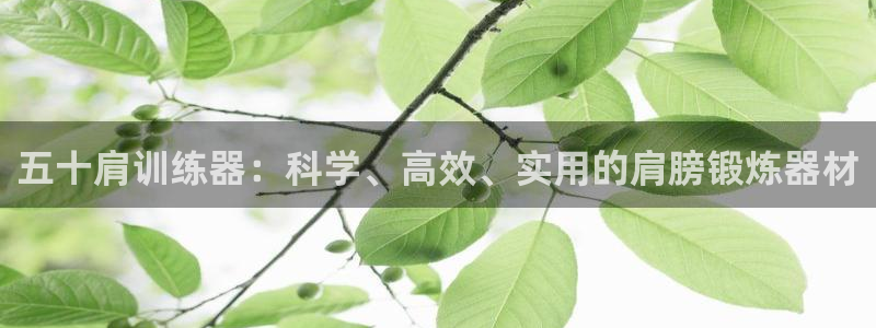 征途国际官方：五十肩训练器：科学、高效、实用的肩膀锻