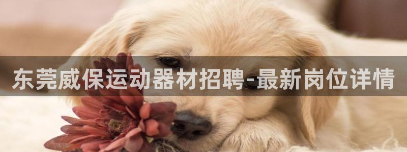 海南征途国际发展怎么样：东莞威保运动器材招聘-最新岗