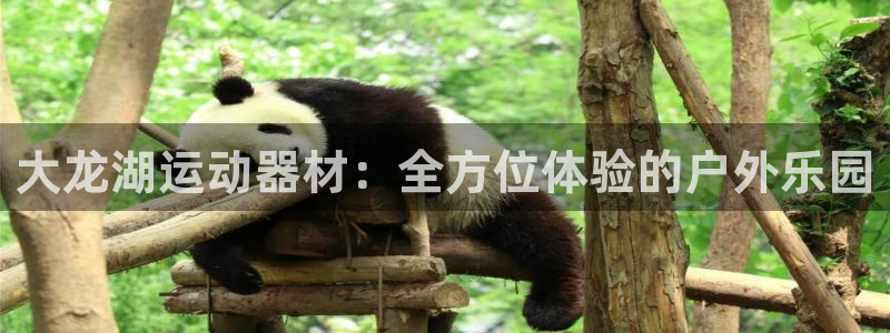 征途国际平台体育：大龙湖运动器材：全方位体验的户外乐