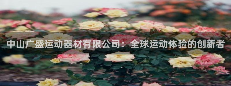 征途国际集团logo：中山广盛运动器材有限公司：全球