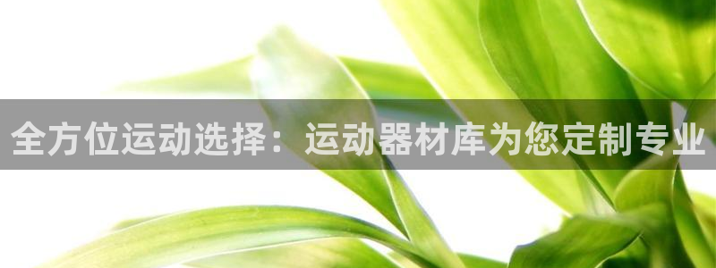 征途国际平台注册：全方位运动选择：运动器材库为您定制