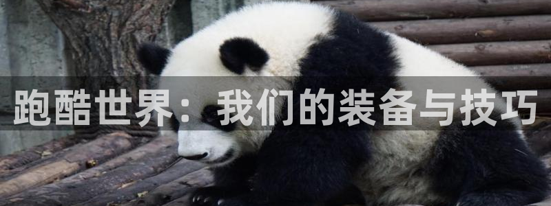 征途国际开户：跑酷世界：我们的装备与技巧