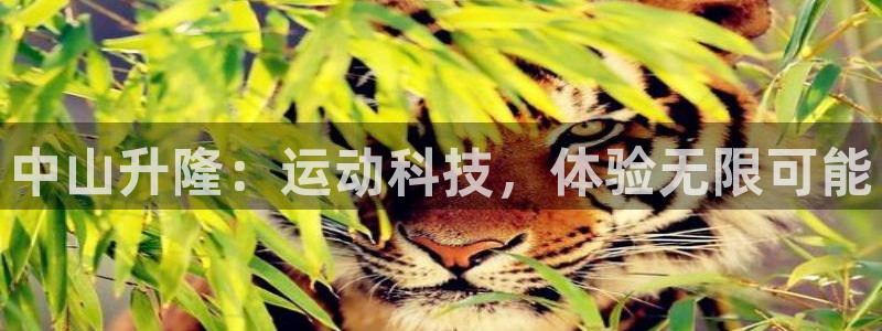 征途国际官方客服电话：中山升隆：运动科技，体验无限可
