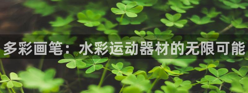 征途国际招商电话是多少号码：多彩画笔：水彩运动器材的