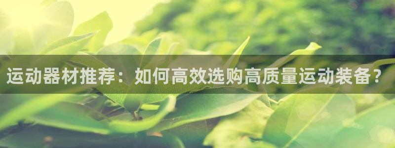 征途国际招商电话：运动器材推荐：如何高效选购高质量运动装备？