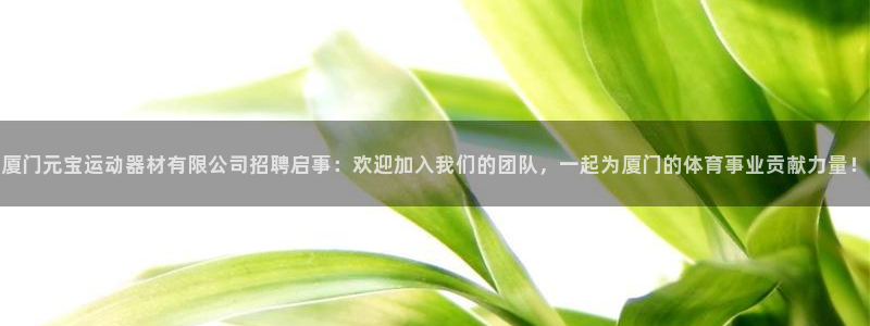 征途国际平台是正规平台吗安全吗：厦门元宝运动器材有限