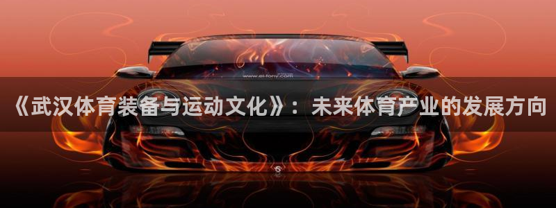 征途国际集团官网首页：《武汉体育装备与运动文化》：未来体育产