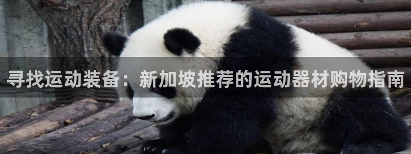 征途国际官网：寻找运动装备：新加坡推荐的运动器材购物指南