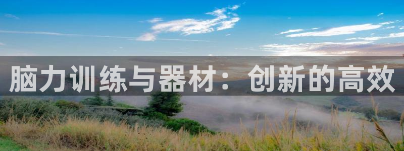 征途国际平台注册流程图：脑力训练与器材：创新的高效