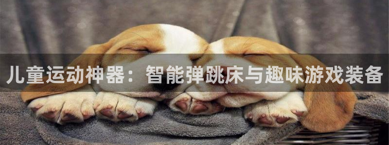 征途国际平台体育：儿童运动神器：智能弹跳床与趣味游戏装备