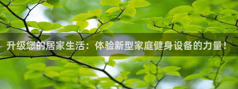 征途国际平台注册要钱吗安全吗：升级您的居家生活：体验新型家庭