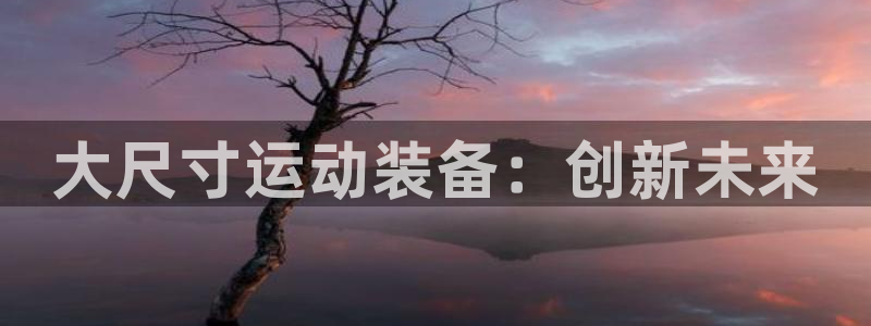 征途国际平台APP：大尺寸运动装备：创新未来