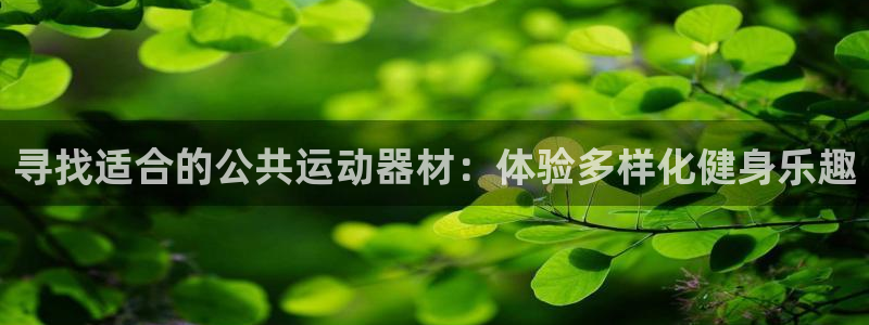 征途国际招商电话号码查询：寻找适合的公共运动器材：体验多样化