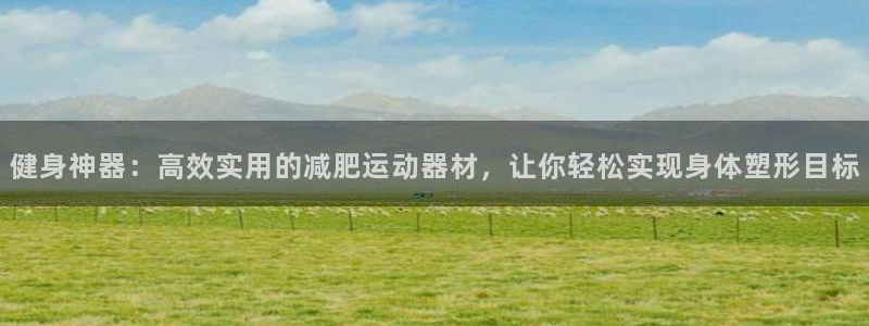 征途国际官网：健身神器：高效实用的减肥运动器材，让你轻松实现