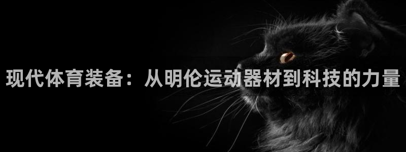 德国征途国际集团