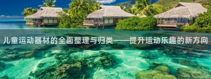 征途国际招商电话号码查询：儿童运动器材的全面整理与归类——提